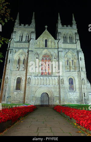 58000 Gestrickte Poppy Anzeige an Selby Abbey, North Yorkshire. Stockfoto