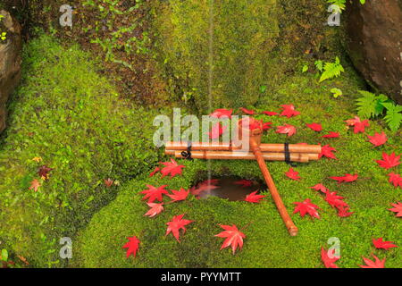 Kyoto, Japan Stockfoto