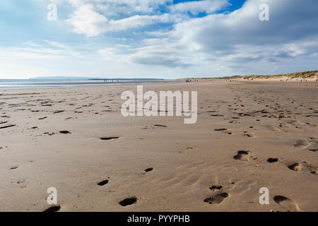 Camber Sands, Sandstrand im Dorf Sturz in der Nähe von Rye, East Sussex, England, nur Sand dune System in East Sussex. Blick auf die Dünen, Gras Stockfoto