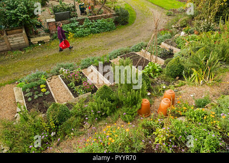 Gärtner von Holz Betten mit gemischten organischen Produkten (Gemüse Kräuter, essbare Blüten) in Küche und Garten - Grays Court, York, Yorkshire, England Stockfoto