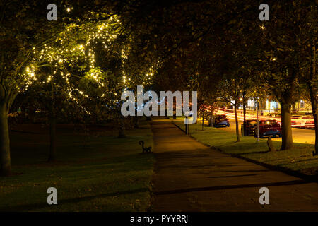 Gelbe funkelnde dekorative Lichter hängen an einem Baum entlang eines Pfades auf Montpellier Hill, Harrogate, North Yorkshire, England, Großbritannien. Stockfoto