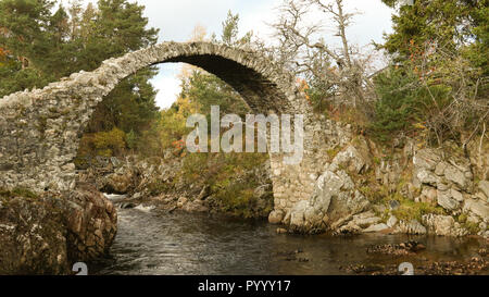 Die herrlichen alten Packesel Brücke in Carrbridge im Cairngorms Nationalpark ist der älteste Steinerne Brücke in den Highlands von Schottland. Stockfoto