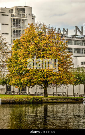 Rotterdam, Niederlande, 20. Oktober 2018: Kastanie im Herbst Farben vor der Van Nelle facory UNESCO-Welterbe Stockfoto