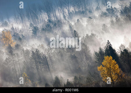 Spätherbst. Nationalpark Ordesa. Huesca, Spanien. Stockfoto