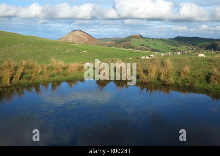 Schafe grasen in der Nähe eines kleinen Tarn an den unteren Hängen von Caer Caradoc, in der Nähe von Church Stretton, Shropshire. Die lawley Hügel in der Ferne sehen gelassen werden Stockfoto