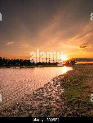 Golden Sunset über Hatchet Teich im New Forest Stockfoto