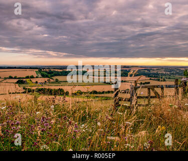 Eine typische englische Landschaft Szene mit einem hölzernen Tor von Wildblumen umgeben Stockfoto