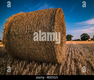 Ein einziges Heu Ballen in einem Feld nur nach der Ernte mit einem blauen Himmel im Hintergrund Stockfoto