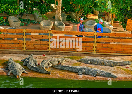 Krokodil Einhausungen an Croco Park, Agadir, Souss-Massa Provinz, südlichen Marokko, West Afrika. Stockfoto