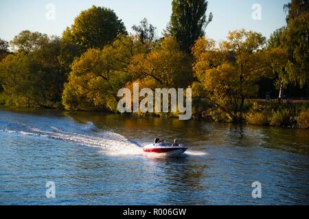 SPEED BOOT BEI EINER GESCHWINDIGKEIT AUF DEN MAIN FLUSSAUFWÄRTS VON FRANKFURT Stockfoto