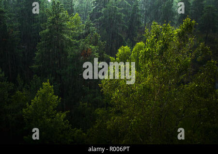 Schwere Sommer Regen in Oslo, Norwegen. Stockfoto