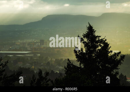 Schwere Sommer Regen in Oslo, Norwegen. Stockfoto