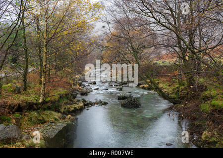 Langstrath Beck der Borrowdale-tal im Nationalpark Lake District, Cumbria, England. Stockfoto