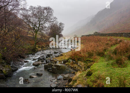 Stonethwaite Beck der Borrowdale-tal im Nationalpark Lake District, Cumbria, England. Stockfoto