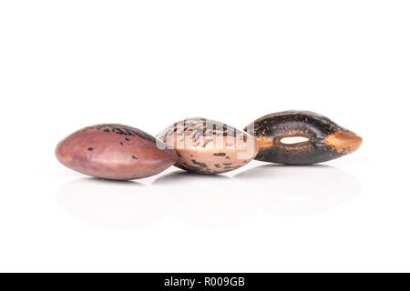 Gruppe von drei ganzen gesprenkelte Farbige butter Bohnen Painted Lady Scarlet runner Vielfalt in der Zeile isoliert auf weißem Hintergrund Stockfoto
