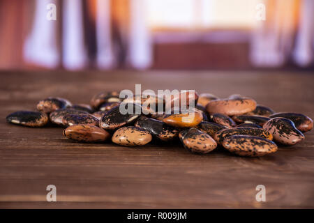 Menge ganze gesprenkelte Farbige butter Bohnen Painted Lady Scarlet runner Sorte mit seidenen Vorhängen hinter Stockfoto