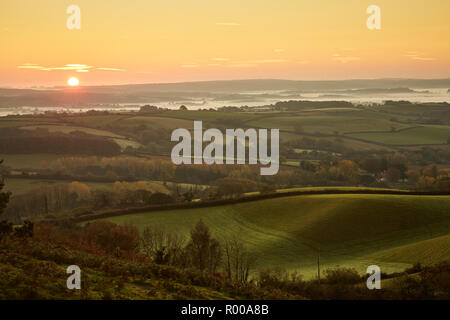 Schauen Sie von oben nach unten von pilsdon Pen Hill in Dorset an landwirtschaftliche Flächen, grüne Felder und Nebel bei Sonnenaufgang Stockfoto