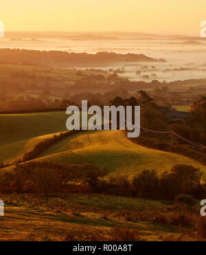 Schauen Sie von oben nach unten von pilsdon Pen Hill in Dorset an landwirtschaftliche Flächen, grüne Felder und Nebel bei Sonnenaufgang Stockfoto