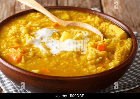 Mulligatawny Suppe hat viele Schichten von warmen Geschmack. Mit Curry, Knoblauch, Ingwer, und Gemüse. Indian-British Küche. Horizontale Stockfoto