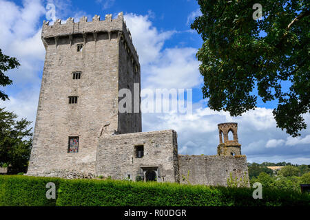 Blarney Castle und Gärten, in der Nähe von Cork im County Cork, Republik von Irland Stockfoto