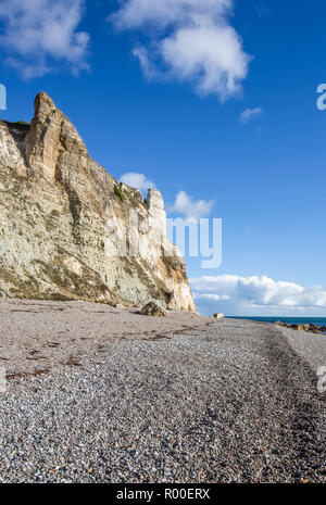 Branscombe Beach in der Nähe von Seaton in Devon in Südengland Stockfoto