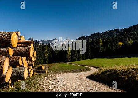 Dirt Road in der Nähe der Baumstämme auf die italienischen Alpen Stockfoto