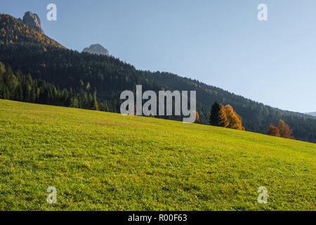 Almwiese auf die italienischen Alpen Stockfoto