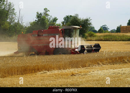 Mähdrescher bei der Arbeit in der Nähe von Therfield Stockfoto