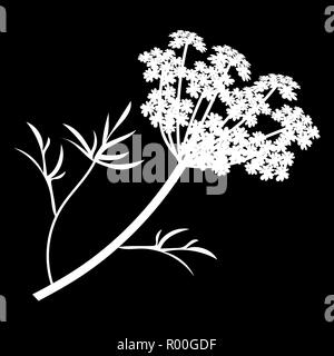 Anis oder Angelica archangelica Blumen isoliert logo Symbol. weiße Silhouette. Vector Illustration Stock Vektor