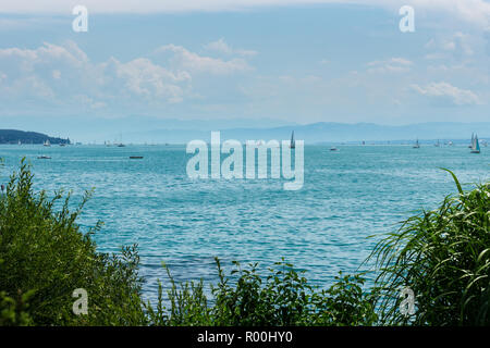 Unzählige Segelboote auf blauen Wasser des Sees hinter grünen Pflanzen Stockfoto