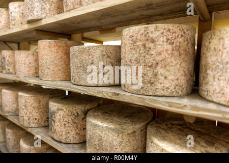 Detail Schwerpunkt der Umläufe von Käse in einem warenlage warten zu reifen Nr. 2 gestapelt Stockfoto