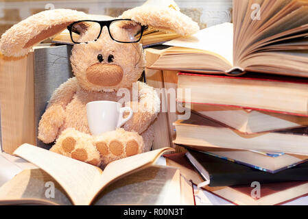 Spielzeug soft Hase mit Brille sitzt unter einem Stapel Bücher. Stockfoto