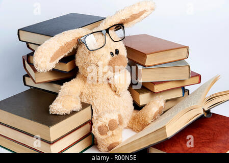 Ein Plüschtier Kaninchen in Brille sitzt im Stapel der Bücher und liest ein Buch. Stockfoto