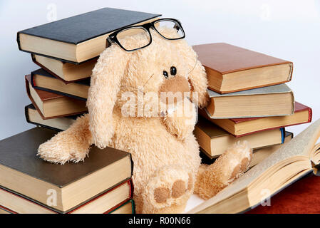 Ein Plüschtier Kaninchen in Brille sitzt im Stapel der Bücher und liest ein Buch. Stockfoto