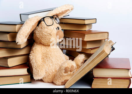 Ein Plüschtier Kaninchen in Brille sitzt im Stapel der Bücher und liest ein Buch. Stockfoto