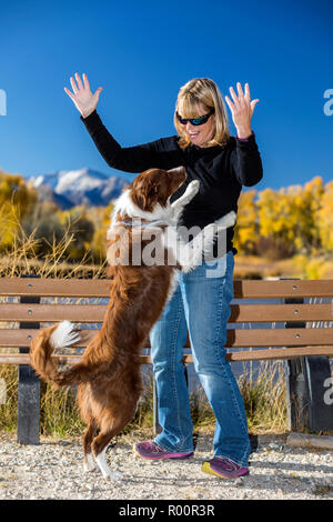 Frau mit ihrem freundlichen springen Border Collie Hund in einem Park, in der Nähe von Salida, Colorado, USA Stockfoto