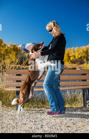 Frau mit ihrem freundlichen springen Border Collie Hund in einem Park, in der Nähe von Salida, Colorado, USA Stockfoto