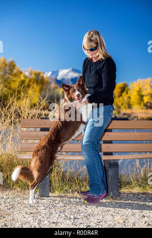 Frau mit ihrem freundlichen springen Border Collie Hund in einem Park, in der Nähe von Salida, Colorado, USA Stockfoto