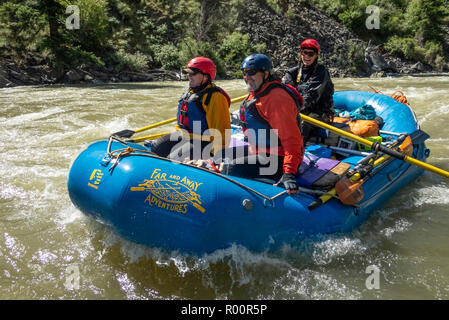 Wildwasser-Rafting auf dem Middle Fork Salmon River in Idaho mit Ausstatter Far and Away Adventures. Stockfoto