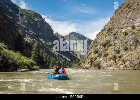 Middle Fork Salmon River, Idaho, Wildwasser-Rafting, Far and Away Adventures, Wild and Scenic River, Frank Church River of No Return Wilderness, Salmo Stockfoto