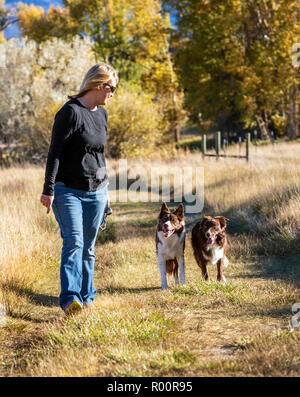 Frau zu Fuß zwei Border Collies in einem Park in der Nähe von Salida, Colorado, USA Stockfoto