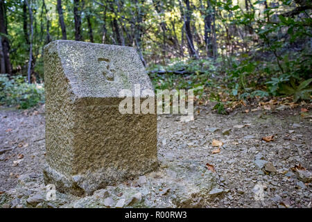 Nummer drei Stein - auf Granit Meilenstein geschnitzt, gefunden auf einer Wanderung am Berg Vitosha, Bulgariens in einem schattigen Herbst Tag Stockfoto