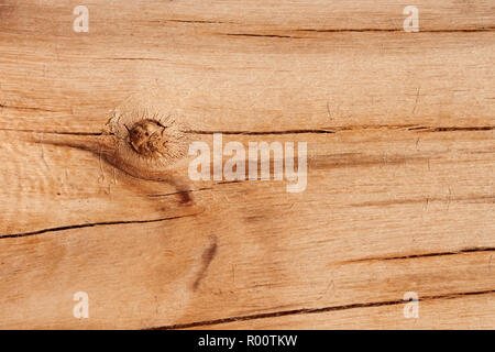 Fragment des gelben Holz- Protokolle ohne Rinde Stockfoto