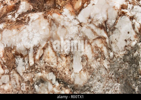 Fragment der wilde Stein. Mineralische Ablagerungen auf Kalkstein Stockfoto