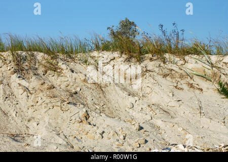 Wilden Sandstrand mit Gras und Büschen bedeckt Stockfoto