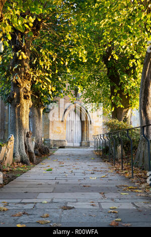 Asche Bäume säumen den Weg zum Haupteingang der St. James' Church, Chipping Campden, Cotswolds, Gloucestershire, England, Vereinigtes Königreich, Europa Stockfoto