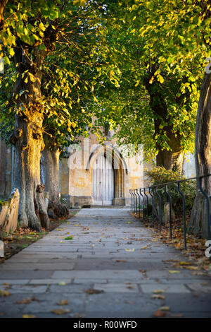 Asche Bäume säumen den Weg zum Haupteingang der St. James' Church, Chipping Campden, Cotswolds, Gloucestershire, England, Vereinigtes Königreich, Europa Stockfoto