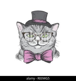 Süße Katze in einen Hut, krawatte und Brille bekleidet, Hand gezeichnet T-shirt Design oder Grußkarte, Vector Illustration. Stock Vektor