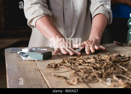 Ein Tabakbauer zeigt einer Gruppe von Touristen, wie kubanische Zigarren hergestellt werden. Stockfoto