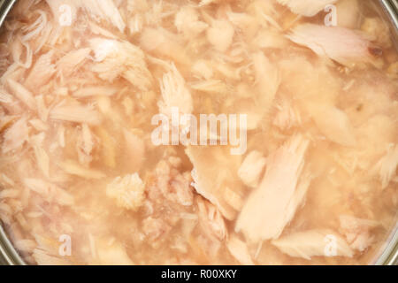 Detail der Thunfisch Flocken in Salzlake. Stockfoto